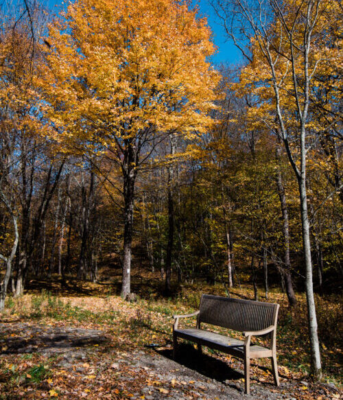 Hiking Trails Property Fall